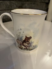 Vintage 1985 Royal Kendal Flower Fairy Mug - Cicely Mary Barker -Fine Bone China