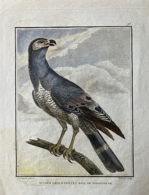 1782 Fessart, nach Pierre Sonnerat: Autour Madagascar kol. Kupferstich 30,5x22