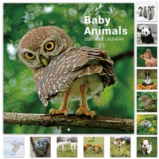 2026 Calendar - 12 Month Baby Animals Wall Calendar 2026 from January 2026 - ...