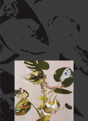 KANDIS WILLIAMS A SURFACE by WILLIAMS, K. Paperback Self Help Business