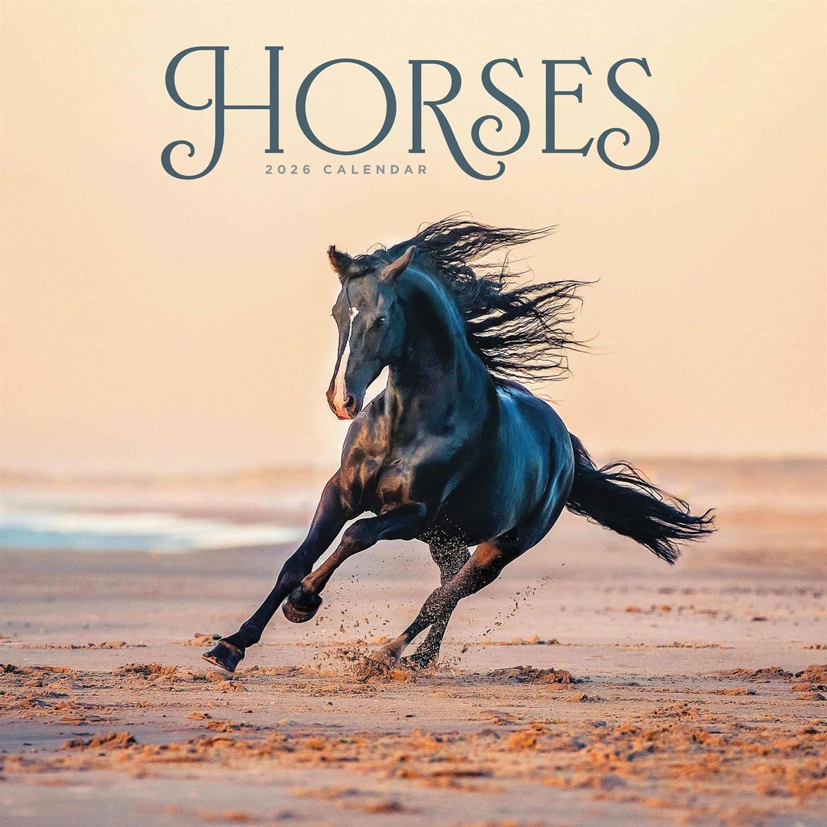 Horses Calendar 2026, Wall Calendars, Month To View, Animals, Gift
