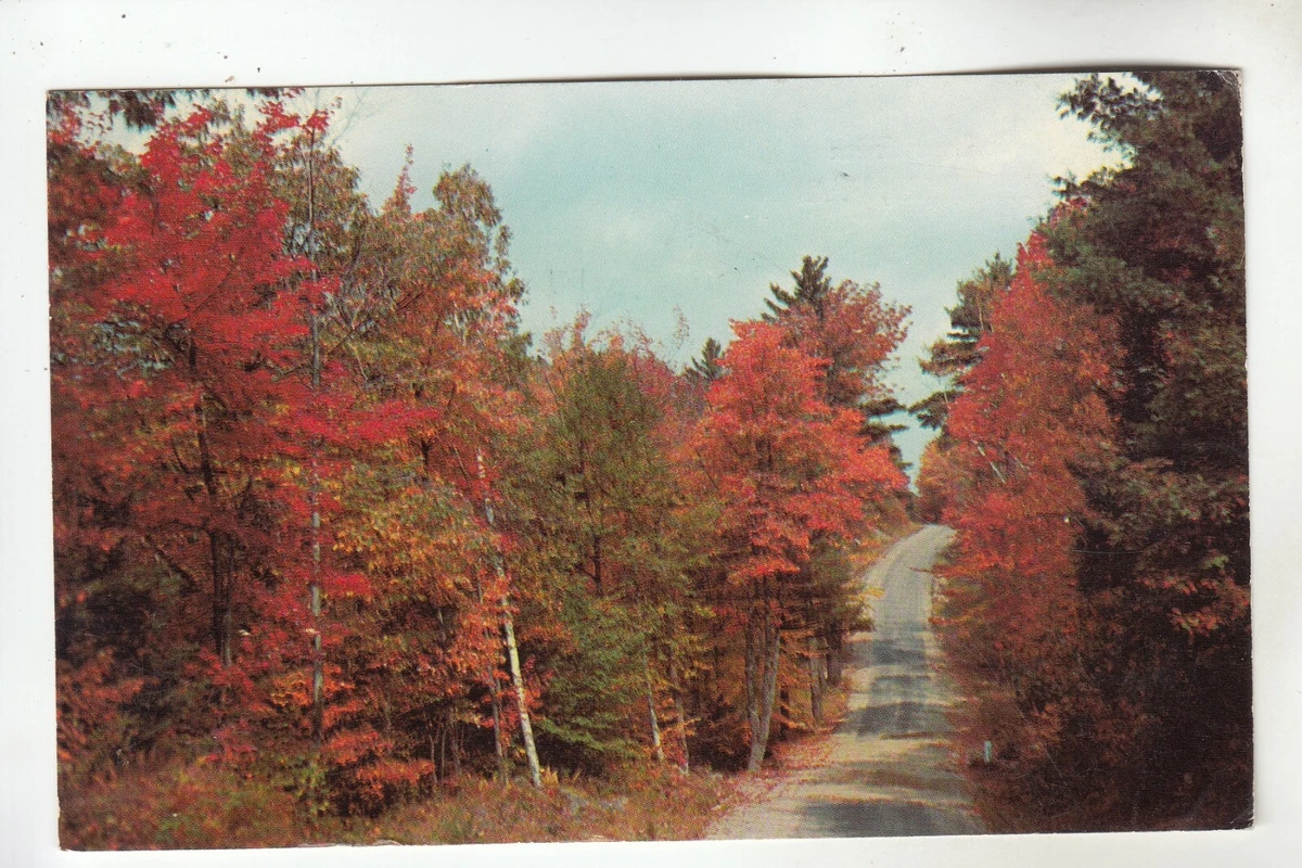 Fall Greetings from Smithfield VA Postage Due stamp | eBay