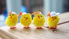 Yellow Multi-colour Easter