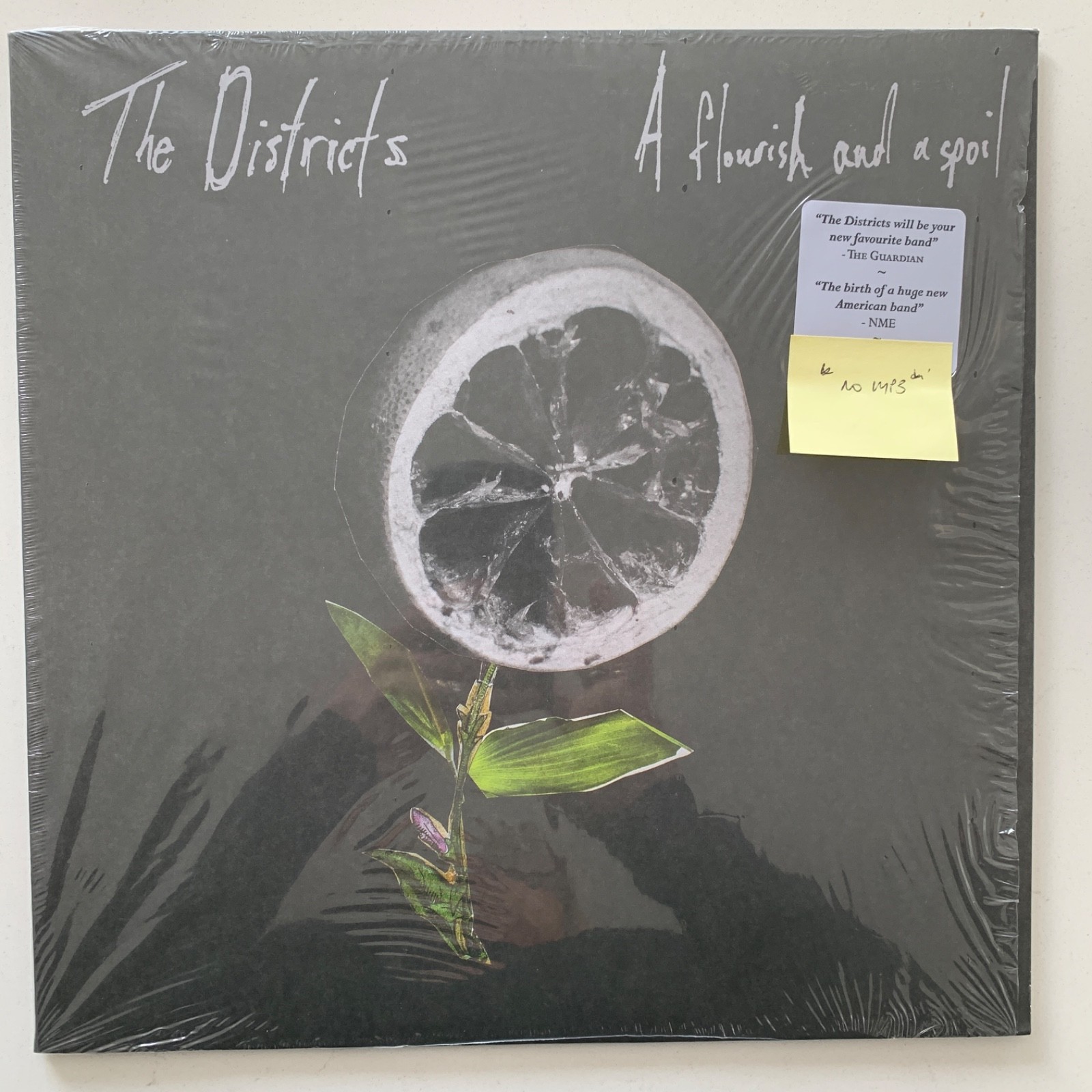 The Districts – A Flourish And A Spoil - 2015 Vinyl LP - Near Mint NM/NM FP14971