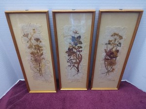 3 Vintage Von Relly Mailaender Dried Flowers Framed, Made In Germany, Signed 