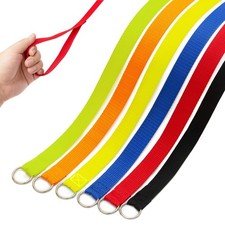 6FT Slip Lead Dog Leash Set - Short Pet Leashes for Training, Walking,