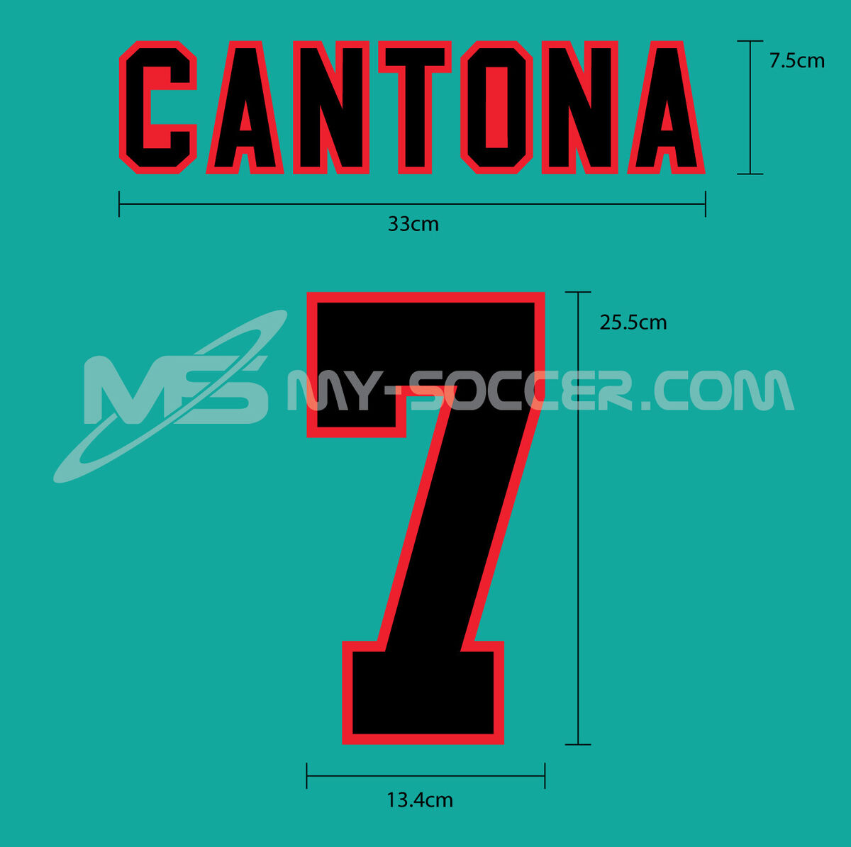 Manchester United FC Away 1995-96 VELVET FLOCK PRINT Manchester United FC Away 1995-96 VELVET FLOCK PRINT