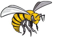 Color Hornet Vinyl Decal Window Sticker Helmets Crafts Car Truck Vehicle Bumper Color Hornet Vinyl Decal Window Sticker Helmets Crafts Car Truck Vehicle Bumper