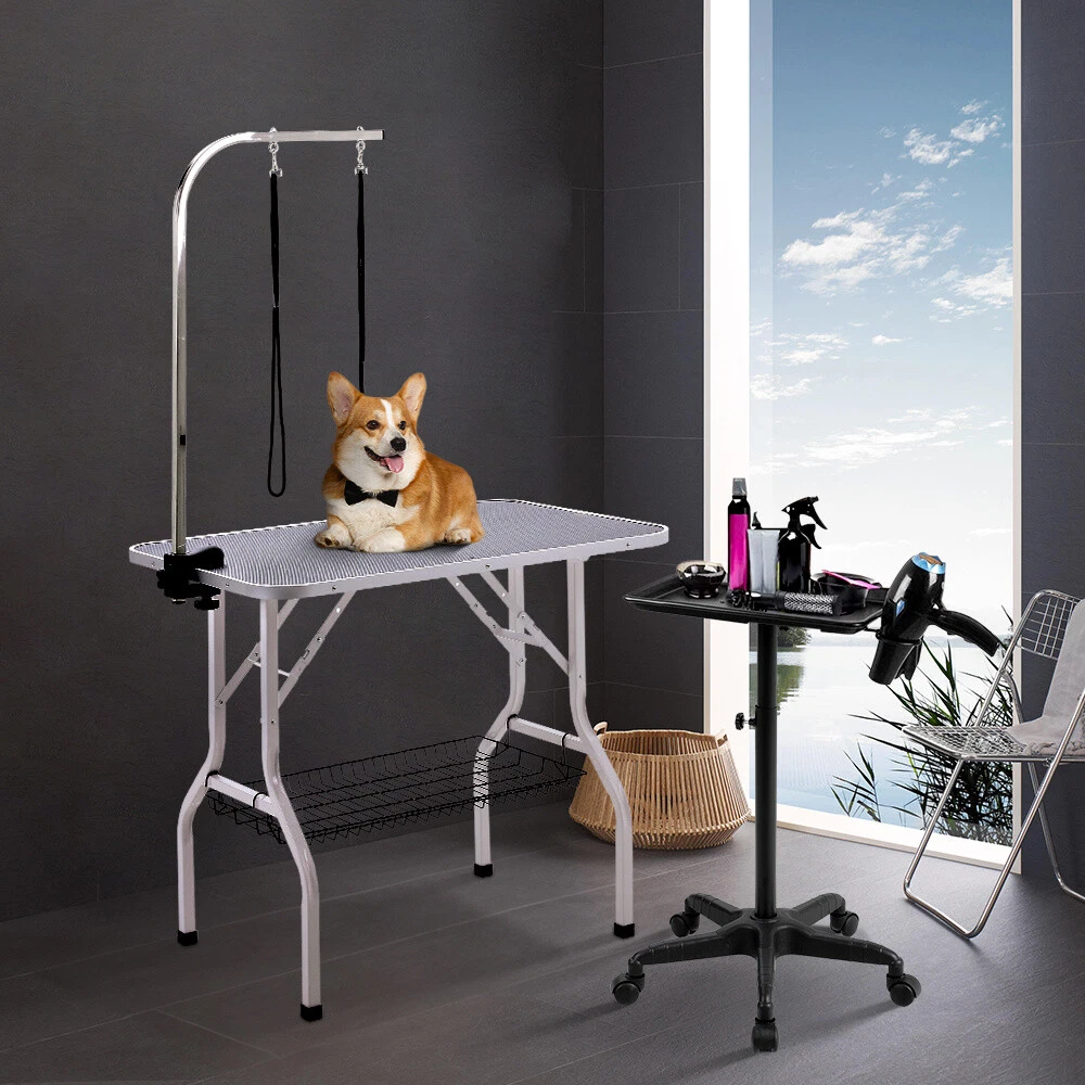 Used dog grooming tables cheap