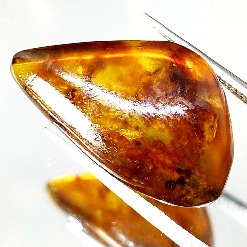 25 mm Authentic Natural Amber Burmite Cretaceous Insects Myanmar Untreated G493 - Picture 2 of 2
