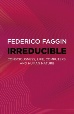 Irreducible: Consciousness, Life, Computers, and Human Nature Paperback - 202...