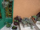 Bild 10 von 24
