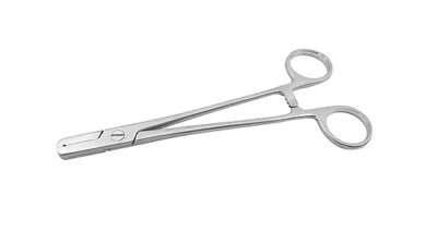 Veterinary Guide Wire Holding Forceps Surgical SS Instrument