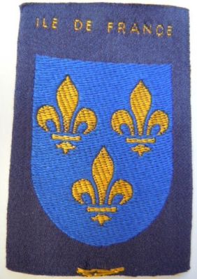 Insigne tissu 1930-1950 SCOUT France écusson de spécialité Scoutisme ORIGINAL