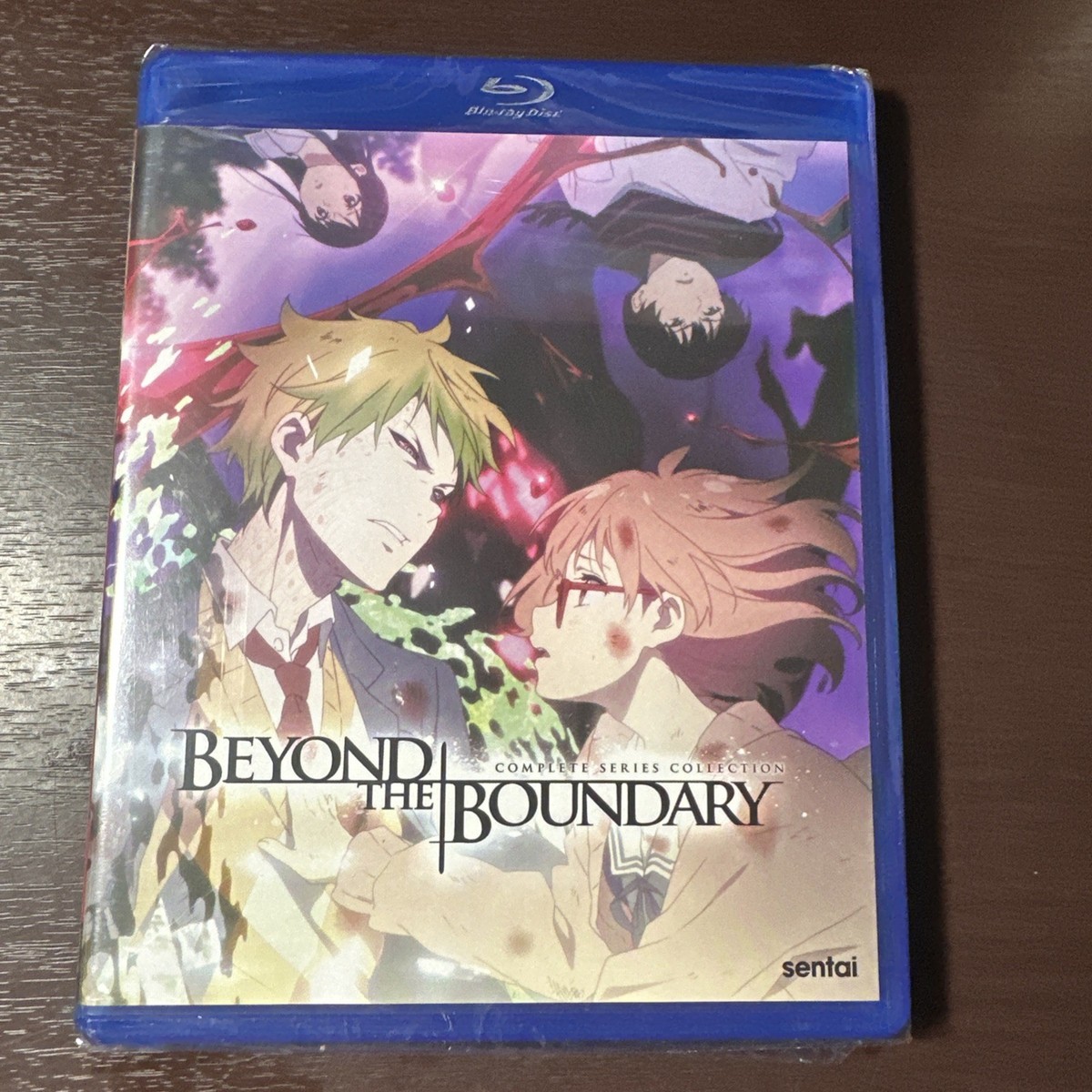 BEYOND THE BOUNDARY The Complete Anime Series 13 Episodes & 2