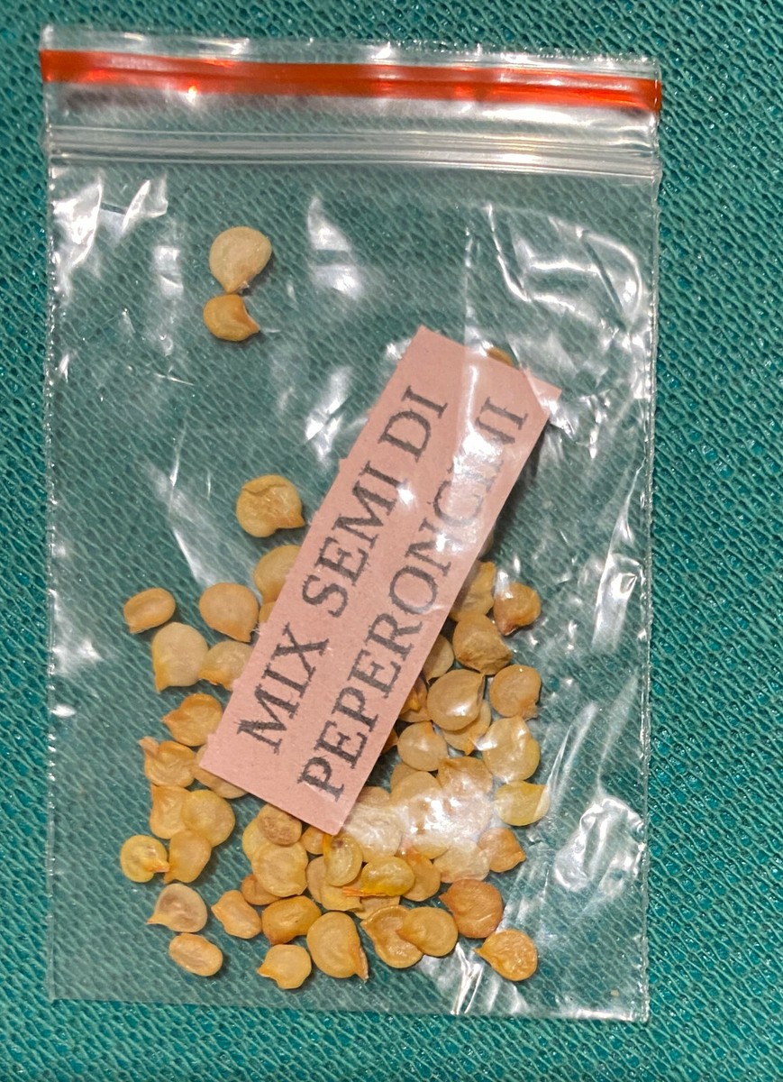 Mix 10 Varietà - Peperoncini Messicani - Agripet Garden - Foto 5