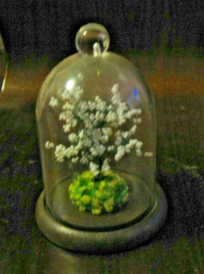 Vintage Mini White Wired Flowers Bonsai Tree on wood with plastic Dome top  SO5 | eBay