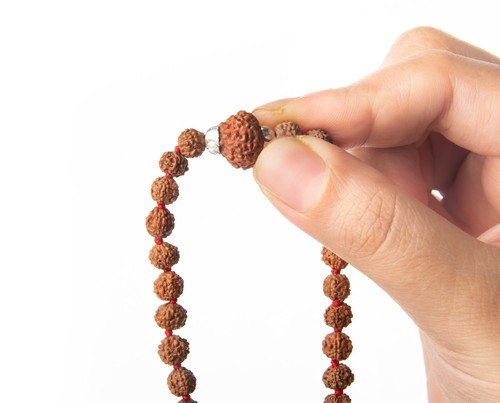 11 Mukhi Rudraksha Natural Rosary Beads 