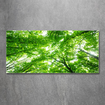 Glas-Bild Wandbilder Druck auf Glas 120x60 Deko Blumen & Pflanzen Grüner Wald