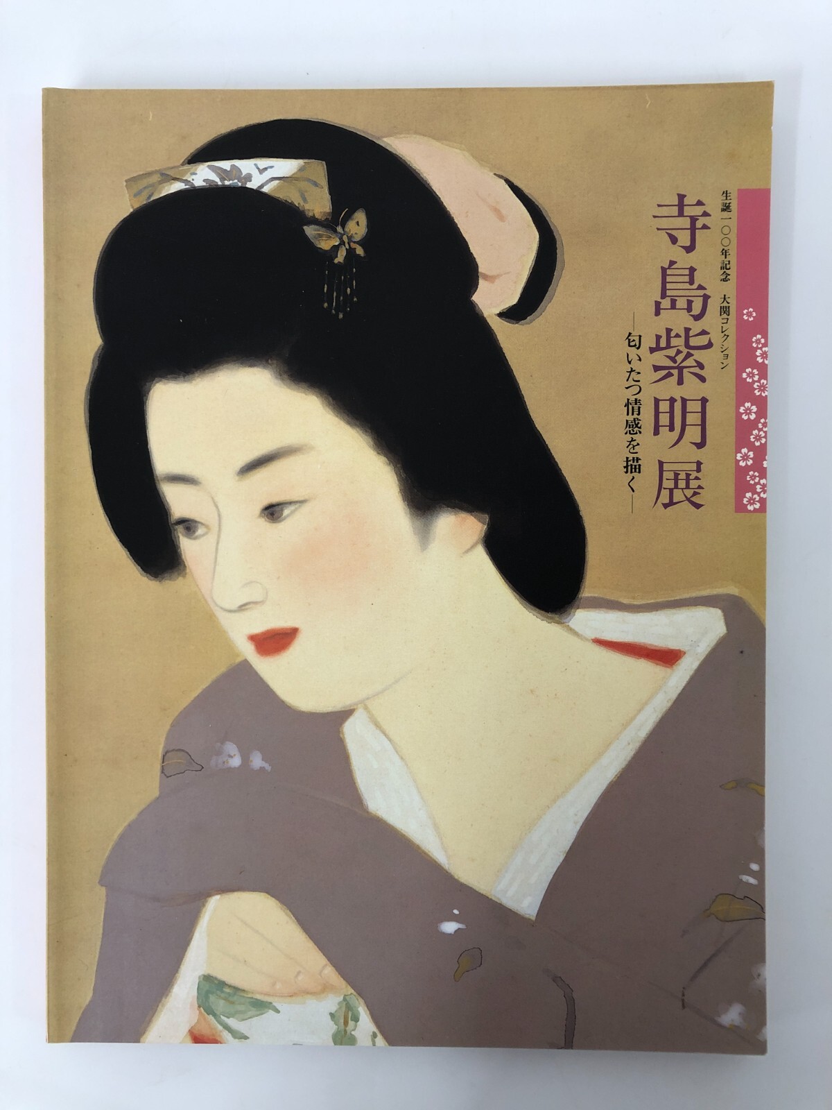 Explore Shimei Terashima’s Exhibition: Capturing Japanese Emotions Through Art