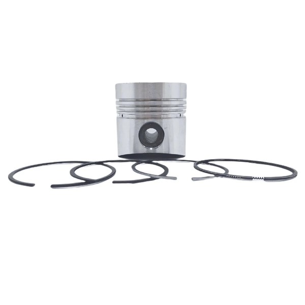 Kolben + Kolbenring-Satz (0,50 Mm ÜBergrößE - 100,50 Mm): Kompatibel Mit Lombard-image
