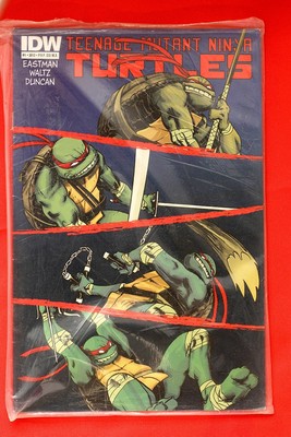 RARE HTF IDW TMNT Teenage Mutant Ninja Turtles 1 A B C D MEXICAN Dan Duncan
