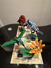 🐦 LEGO Ideas Birds 21301 Complete Robin Blue Jay Hummingbird Instructions 🐦 