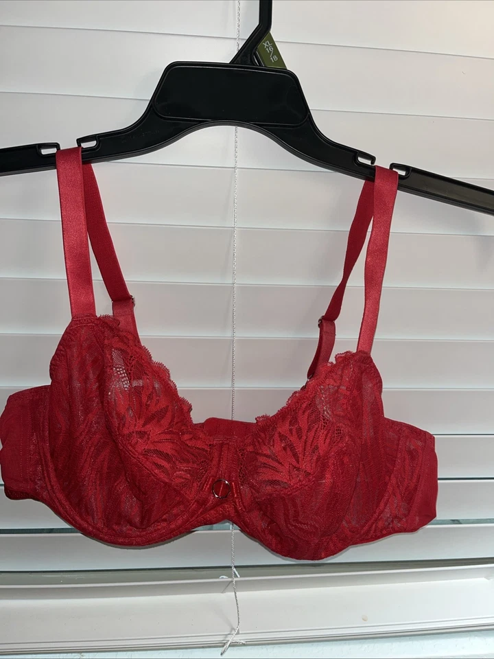 Curvy Kate POPPY 红色 Victory 侧支撑多部分杯文胸 尺寸 38DD 蕾丝 — 第 2/4 张图片