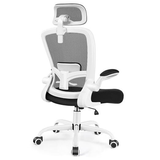 Ergonomic Office Chair, Headrest Desk Chair with Adjustable Lumbar 918-H White