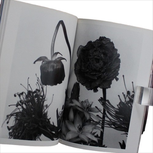 The Works of Nobuyoshi Araki 17 Fotobuch Sinnliche Blumen 1. Auflage Obi - Bild 16 von 17