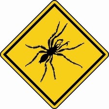 Aufkleber Achtung Spinne 8 x 8 cm Autoaufkleber Sticker