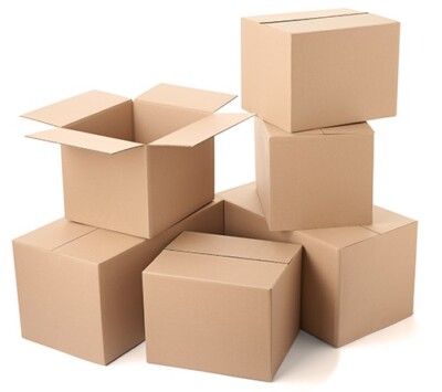 Upgrade or Additional Shipping Fee