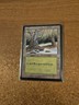 MAGIC THE GATHERING ICE AGE FOREST (B) HEAVILY PLAYED