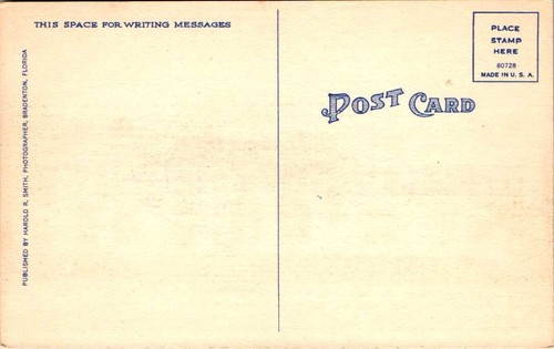 Linen Postcard Post Office Bradenton Florida FL UNP Old Cars Palm Trees - Picture 2 of 2