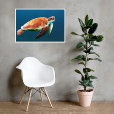 Framed Sea Turtle Poster Ocean Sea Theme