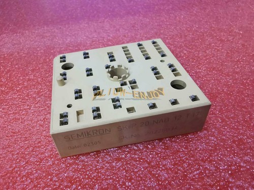 NEW 1PCS SKIIP20NAB12T17 MODULE | eBay
