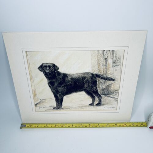 GILL EVANS Signed Limited Edition Print - Labrador Retriever - ungerahmt 24/850 - Bild 10 von 14