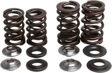 Racing Valve Spring Kit Kibblewhite 30-3111 F...