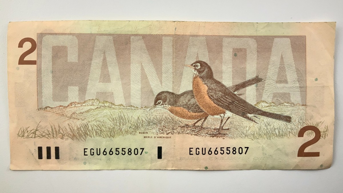 カナディアンカンパニー　1986年 カナディアンカンパニー 1986年 - メルカリ