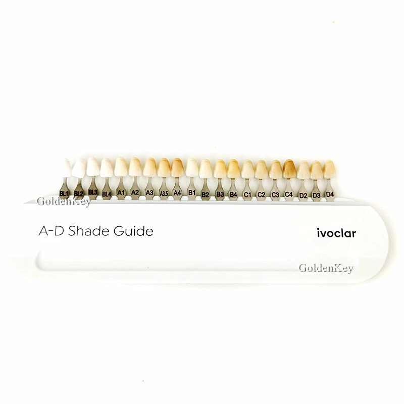 Ivoclar Vivadent Dental Shade Guide 20 Colors Porcelain Teeth With Plastic Box