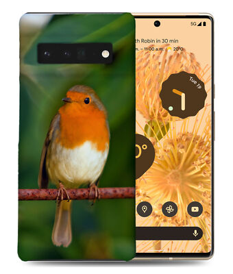 CASE COVER FOR GOOGLE PIXEL|CUTE ADORABLE SMALL BIRD #2