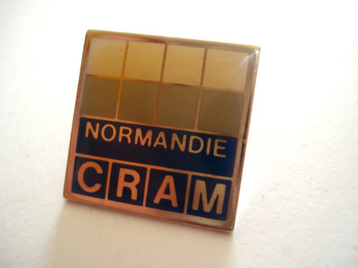 Pins Cram Caisse Assurance Retraite De La Sante Normandie Ebay