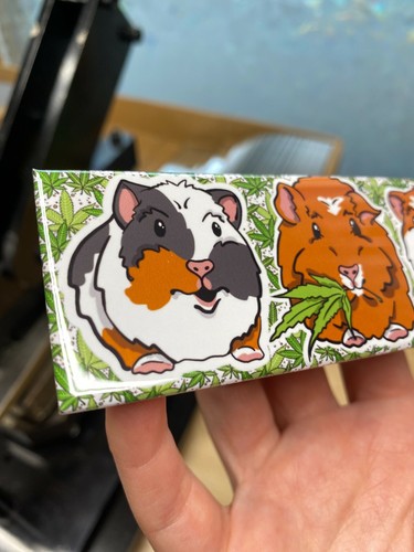 Stoner Guinea Pig Magnet Handmade 420 Gifts Accessories and Kitchen Home Decor - Picture 3 of 12