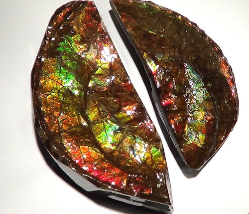 530 Gramm I SAMMLER TRAUM Ammonite-Paar Rot Grün-Golden-Orange + VIDEO - Picture 10 of 12