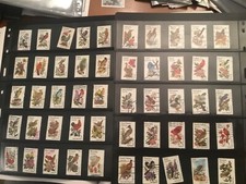 ICOLLECTZONE  US 1953-2002 State Birds  Complete Set VF used