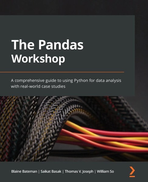 The Pandas Workshop Blaine Bateman (U. A.) Taschenbuch Kartoniert / Broschiert-image