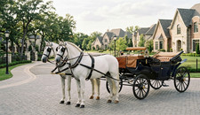 White Horses Wallpaper 4K Ultra HD Luxury Carriage Scene 4708 3648 AI Art