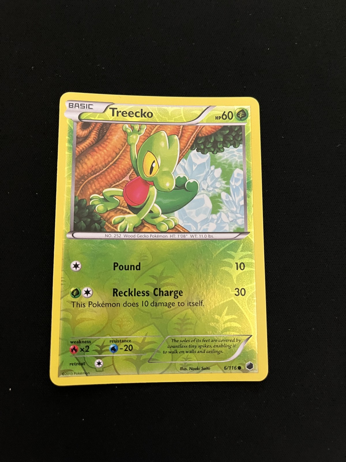 Treecko 6/116 MINT/NM Pokemon Cards Plasma Freeze Reverse Holo Rare