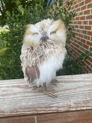 Realistic Northern Saw-Whet Owl From Factory Direct Crafts Brown & White 7 
