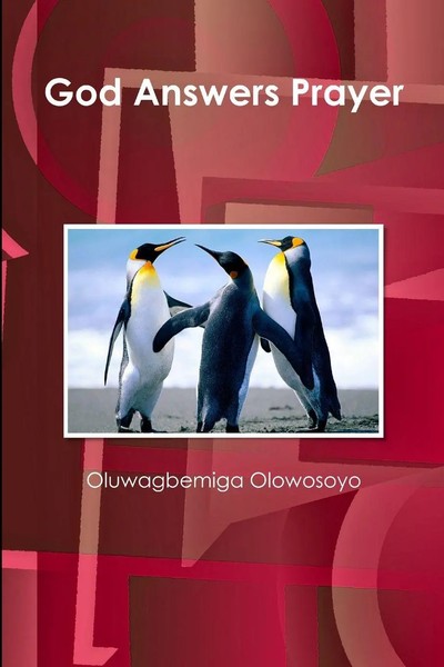 God Answers Prayer Oluwagbemiga Olowosoyo Taschenbuch Kartoniert / Broschiert-image